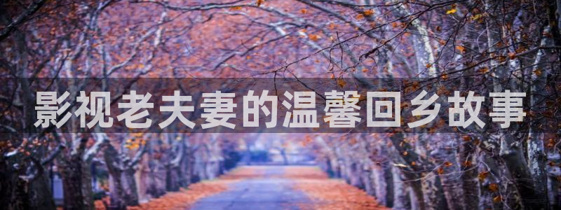神马理论影院